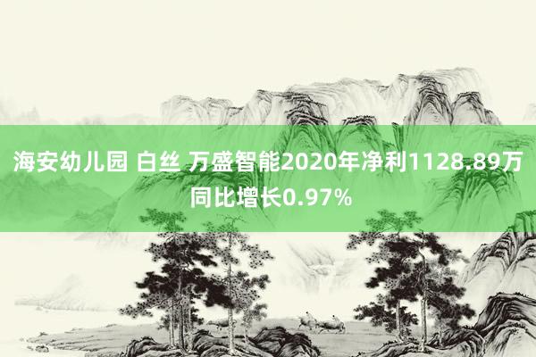 海安幼儿园 白丝 万盛智能2020年净利1128.89万 同比增长0.97%