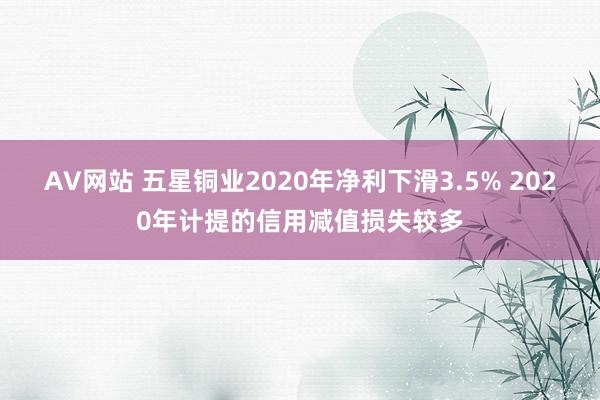 AV网站 五星铜业2020年净利下滑3.5% 2020年计提的信用减值损失较多