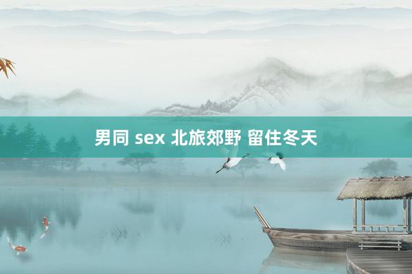 男同 sex 北旅郊野 留住冬天