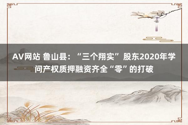 AV网站 鲁山县：“三个翔实” 股东2020年学问产权质押融资齐全“零”的打破