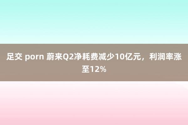 足交 porn 蔚来Q2净耗费减少10亿元，利润率涨至12%