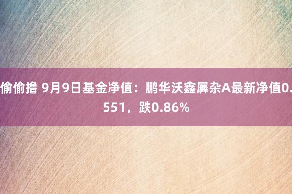 偷偷撸 9月9日基金净值：鹏华沃鑫羼杂A最新净值0.551，跌0.86%