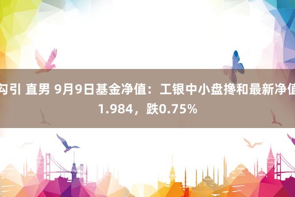 勾引 直男 9月9日基金净值：工银中小盘搀和最新净值1.984，跌0.75%