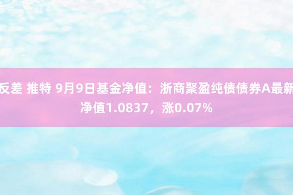 反差 推特 9月9日基金净值：浙商聚盈纯债债券A最新净值1.0837，涨0.07%