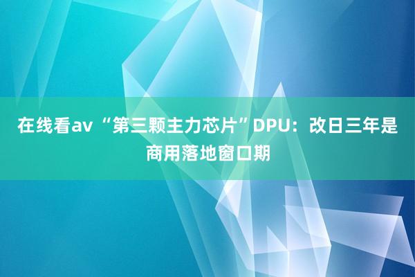 在线看av “第三颗主力芯片”DPU：改日三年是商用落地窗口期