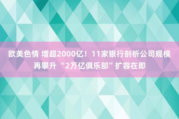 欧美色情 增超2000亿！11家银行剖析公司规模再攀升 “2万亿俱乐部”扩容在即