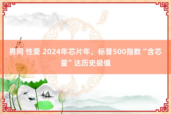 男同 性愛 2024年芯片年，标普500指数“含芯量”达历史极值