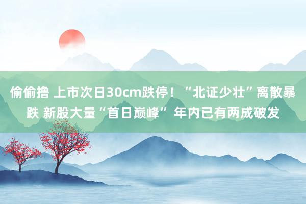 偷偷撸 上市次日30cm跌停！“北证少壮”离散暴跌 新股大量“首日巅峰” 年内已有两成破发