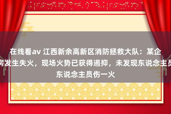 在线看av 江西新余高新区消防拯救大队：某企业一厂房发生失火，现场火势已获得遏抑，未发现东说念主员伤一火