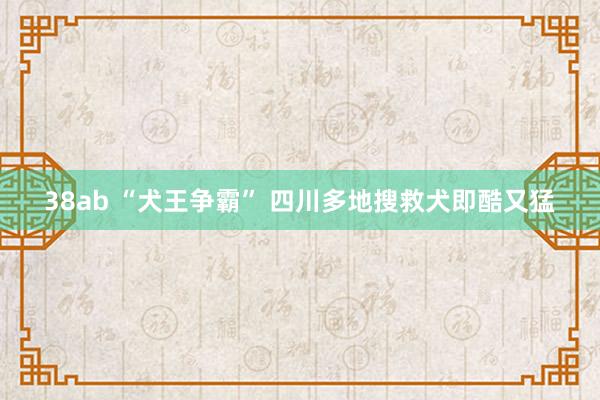 38ab “犬王争霸” 四川多地搜救犬即酷又猛