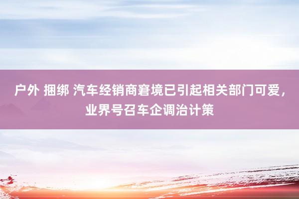 户外 捆绑 汽车经销商窘境已引起相关部门可爱，业界号召车企调治计策