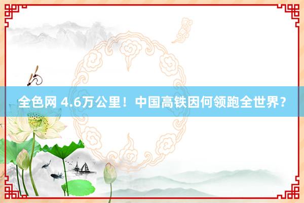 全色网 4.6万公里！中国高铁因何领跑全世界？