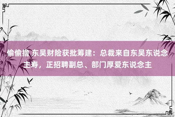 偷偷撸 东吴财险获批筹建：总裁来自东吴东说念主寿，正招聘副总、部门厚爱东说念主