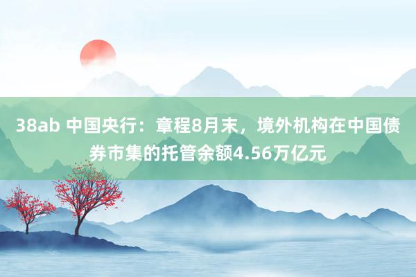 38ab 中国央行：章程8月末，境外机构在中国债券市集的托管余额4.56万亿元