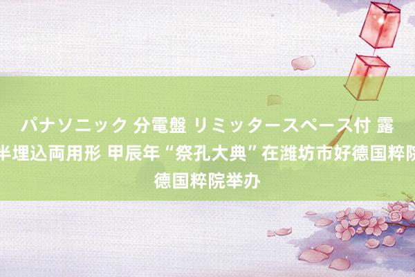 パナソニック 分電盤 リミッタースペース付 露出・半埋込両用形 甲辰年“祭孔大典”在潍坊市好德国粹院举办