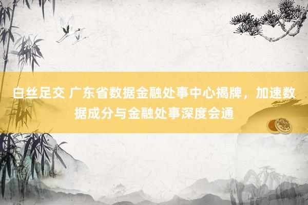 白丝足交 广东省数据金融处事中心揭牌，加速数据成分与金融处事深度会通