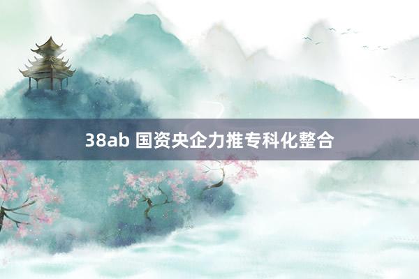 38ab 国资央企力推专科化整合