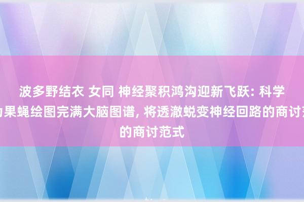 波多野结衣 女同 神经聚积鸿沟迎新飞跃: 科学家为果蝇绘图完满大脑图谱， 将透澈蜕变神经回路的商讨范式