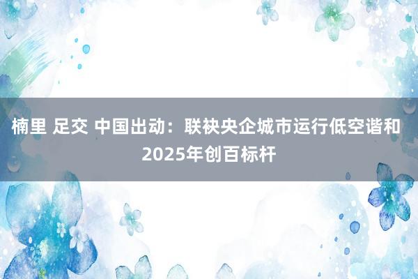 楠里 足交 中国出动：联袂央企城市运行低空谐和 2025年创百标杆