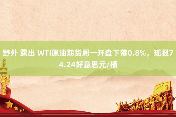 野外 露出 WTI原油期货周一开盘下落0.8%，现报74.24好意思元/桶