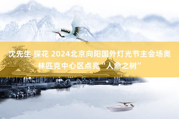 沈先生 探花 2024北京向阳国外灯光节主会场奥林匹克中心区点亮“人命之树”