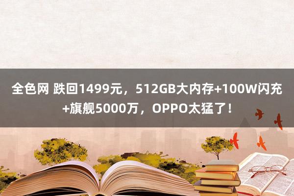 全色网 跌回1499元，512GB大内存+100W闪充+旗舰5000万，OPPO太猛了！