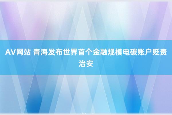 AV网站 青海发布世界首个金融规模电碳账户贬责治安