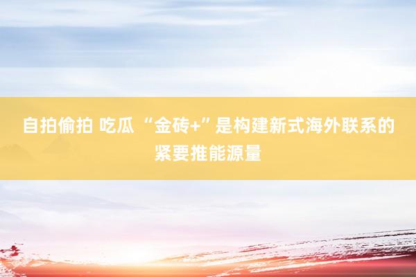 自拍偷拍 吃瓜 “金砖+”是构建新式海外联系的紧要推能源量