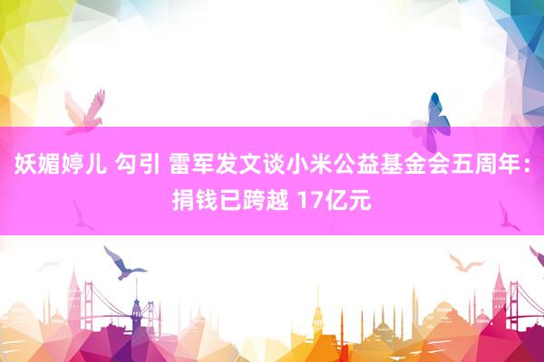 妖媚婷儿 勾引 雷军发文谈小米公益基金会五周年：捐钱已跨越 17亿元