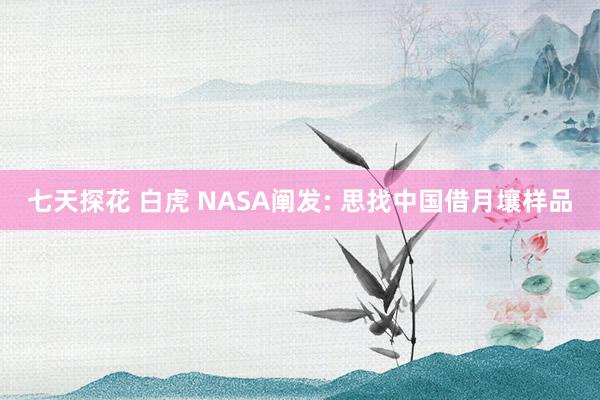 七天探花 白虎 NASA阐发: 思找中国借月壤样品