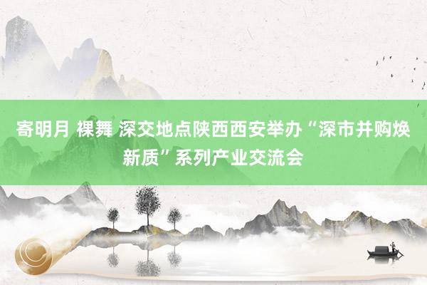 寄明月 裸舞 深交地点陕西西安举办“深市并购焕新质”系列产业交流会