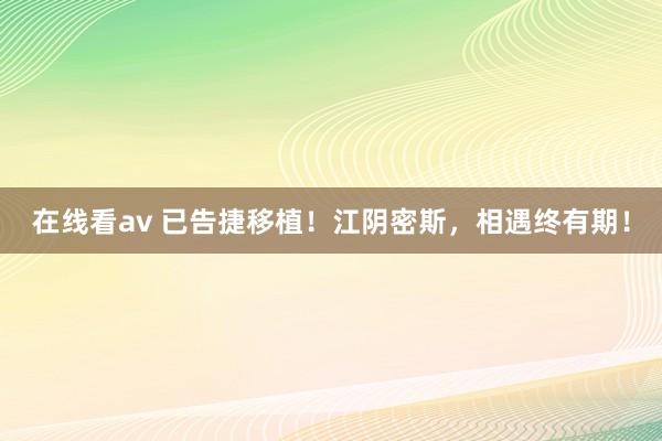 在线看av 已告捷移植！江阴密斯，相遇终有期！