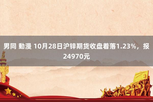 男同 動漫 10月28日沪锌期货收盘着落1.23%，报24970元