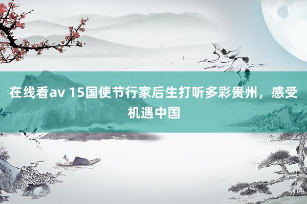 在线看av 15国使节行家后生打听多彩贵州，感受机遇中国