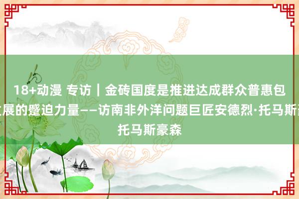 18+动漫 专访｜金砖国度是推进达成群众普惠包容发展的蹙迫力量——访南非外洋问题巨匠安德烈·托马斯豪森