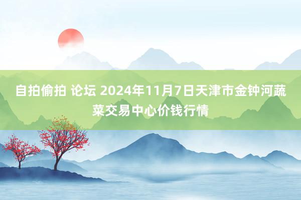 自拍偷拍 论坛 2024年11月7日天津市金钟河蔬菜交易中心价钱行情