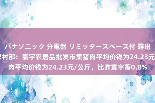 パナソニック 分電盤 リミッタースペース付 露出・半埋込両用形 农业农村部：寰宇农居品批发市集猪肉平均价钱为24.23元/公斤，比昨寰宇落0.8%