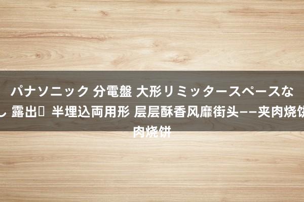 パナソニック 分電盤 大形リミッタースペースなし 露出・半埋込両用形 层层酥香风靡街头——夹肉烧饼