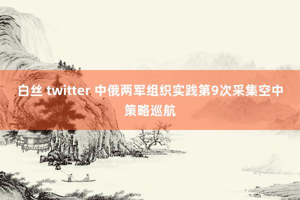 白丝 twitter 中俄两军组织实践第9次采集空中策略巡航