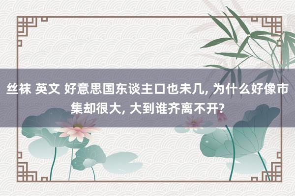 丝袜 英文 好意思国东谈主口也未几， 为什么好像市集却很大， 大到谁齐离不开?