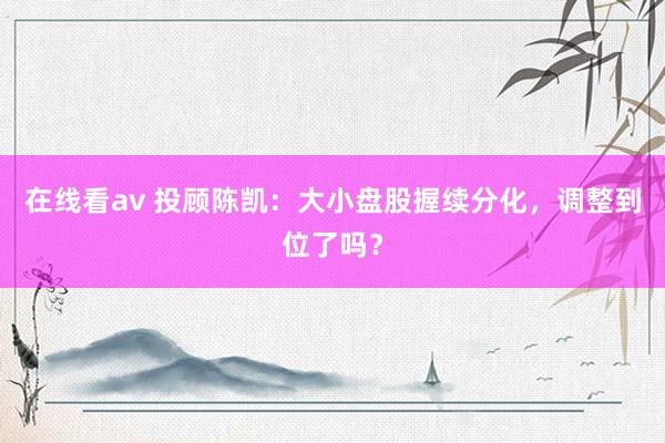 在线看av 投顾陈凯：大小盘股握续分化，调整到位了吗？