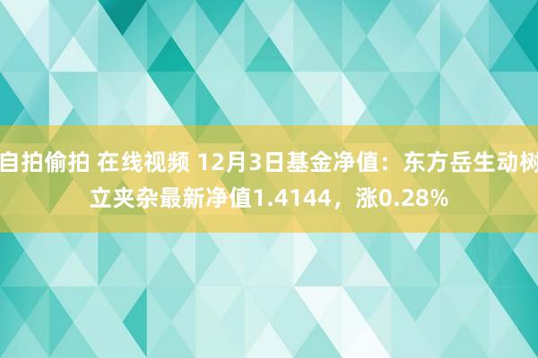 自拍偷拍 在线视频 12月3日基金净值：东方岳生动树立夹杂最新净值1.4144，涨0.28%