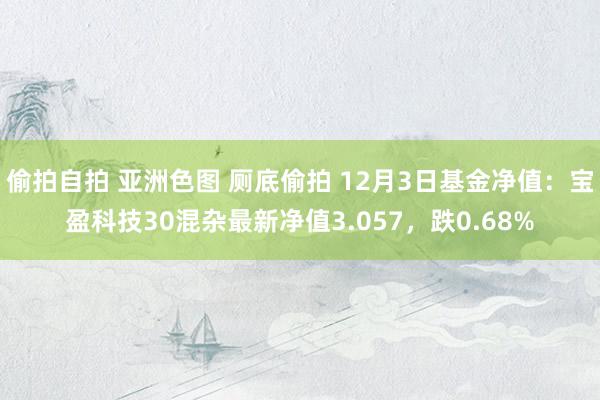 偷拍自拍 亚洲色图 厕底偷拍 12月3日基金净值：宝盈科技30混杂最新净值3.057，跌0.68%