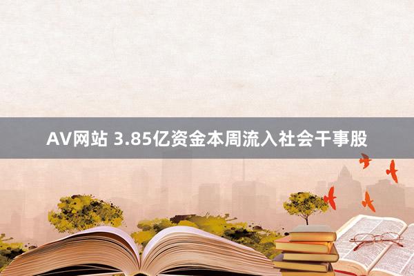 AV网站 3.85亿资金本周流入社会干事股