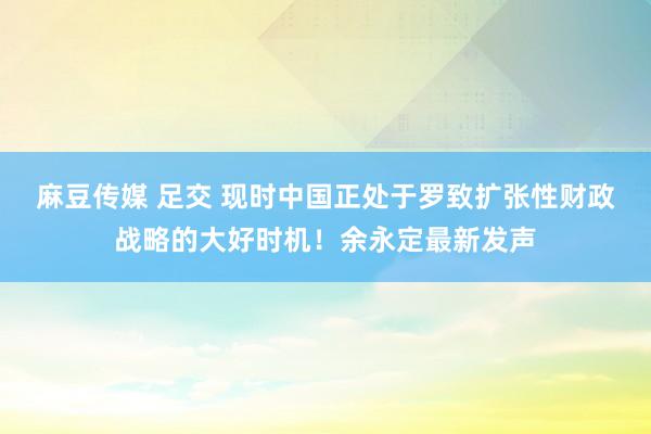 麻豆传媒 足交 现时中国正处于罗致扩张性财政战略的大好时机！余永定最新发声