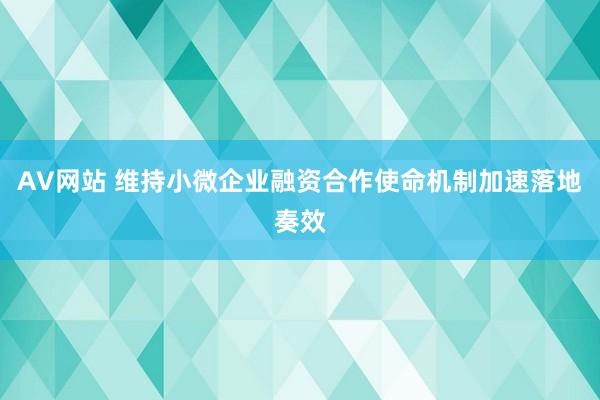 AV网站 维持小微企业融资合作使命机制加速落地奏效