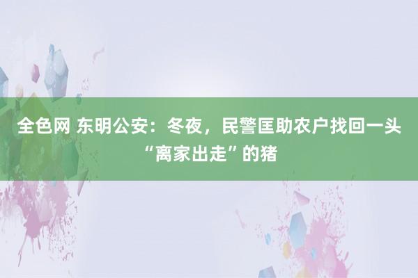 全色网 东明公安：冬夜，民警匡助农户找回一头“离家出走”的猪