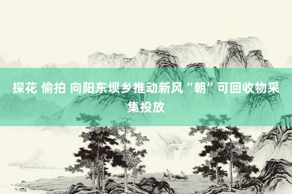 探花 偷拍 向阳东坝乡推动新风“朝”可回收物采集投放