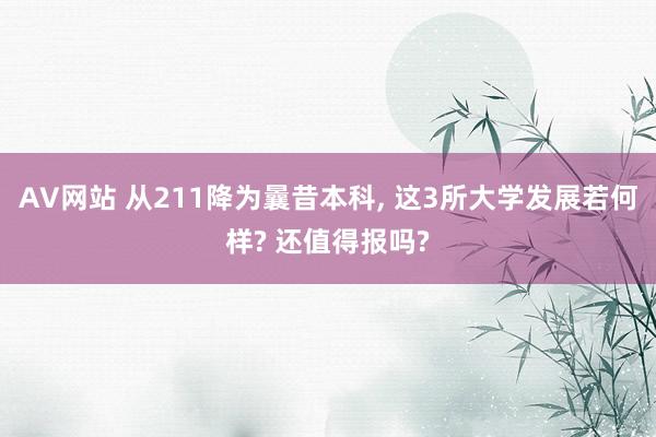 AV网站 从211降为曩昔本科， 这3所大学发展若何样? 还值得报吗?