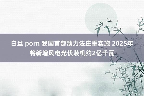 白丝 porn 我国首部动力法庄重实施 2025年将新增风电光伏装机约2亿千瓦